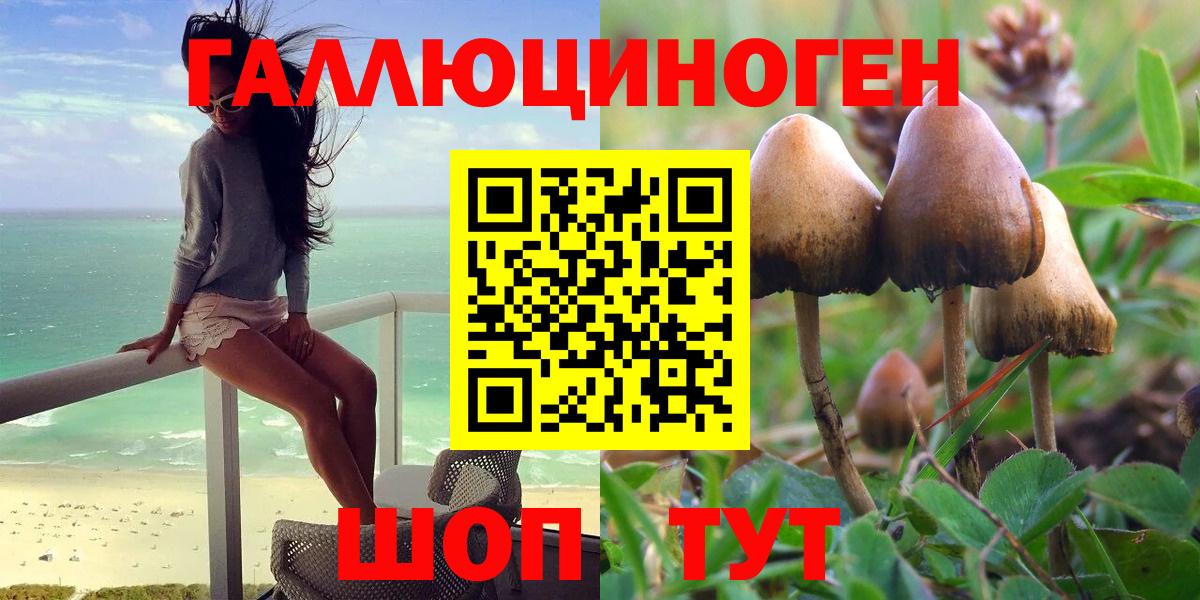 Галлюциногенные грибы мухоморы  Вход с VPN  Тавда 